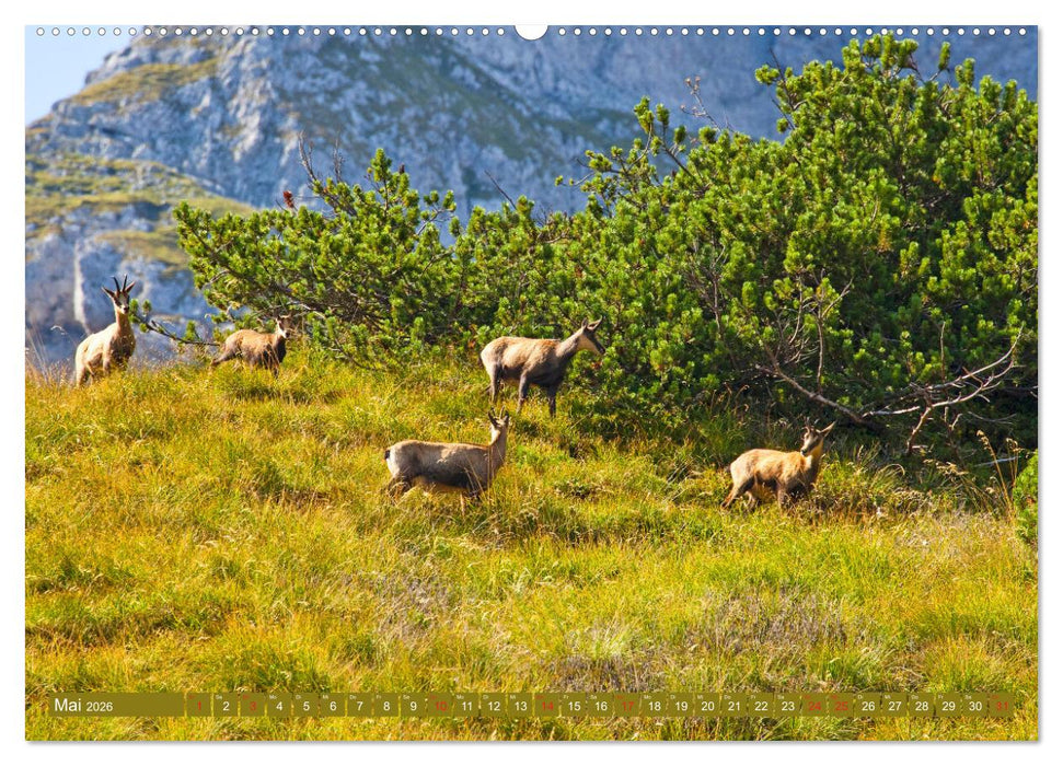 Waidmannsheil und Waidmannsdank (CALVENDO Wandkalender 2026)