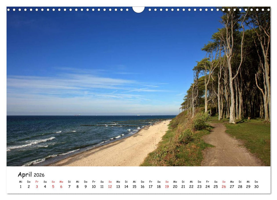Ostsee Sehnsucht (CALVENDO Wandkalender 2026)