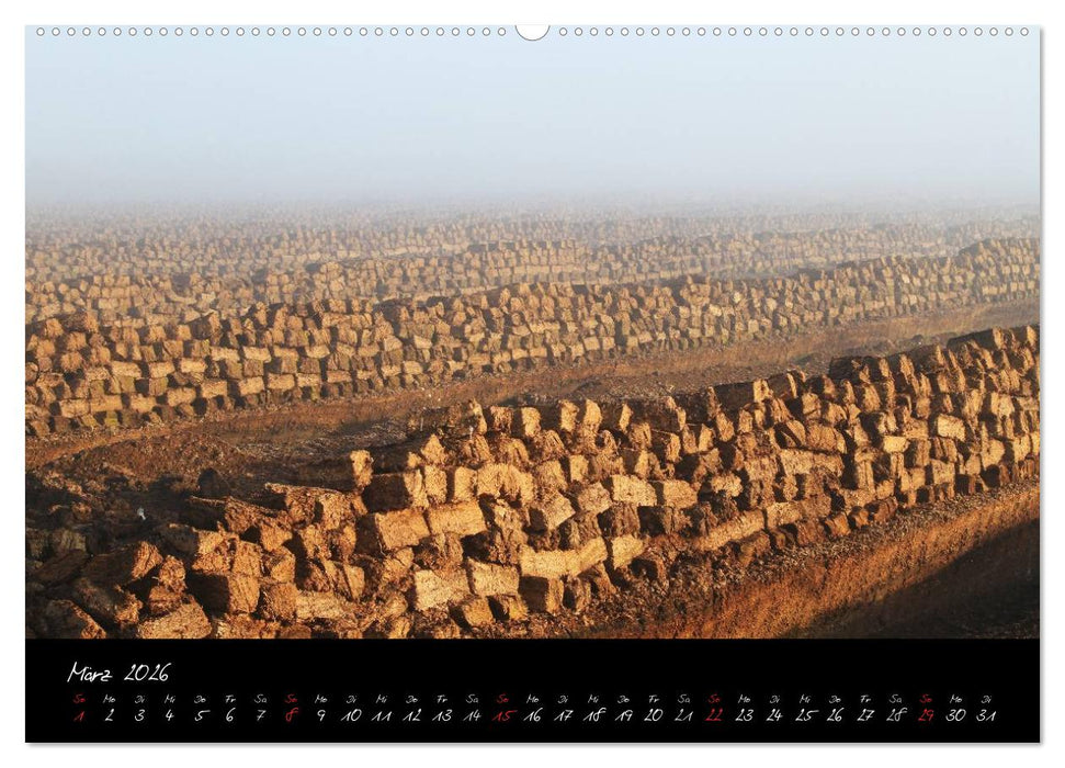 Im Goldenstedter Moor (CALVENDO Wandkalender 2026)