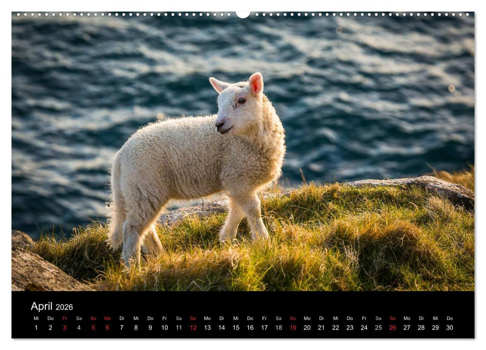 Schottland - Die wundervolle Isle of Skye (CALVENDO Premium Wandkalender 2026)