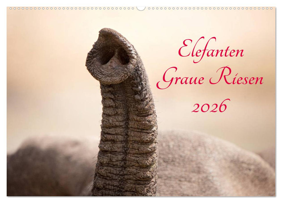 Elefanten - Graue Riesen (CALVENDO Wandkalender 2026)