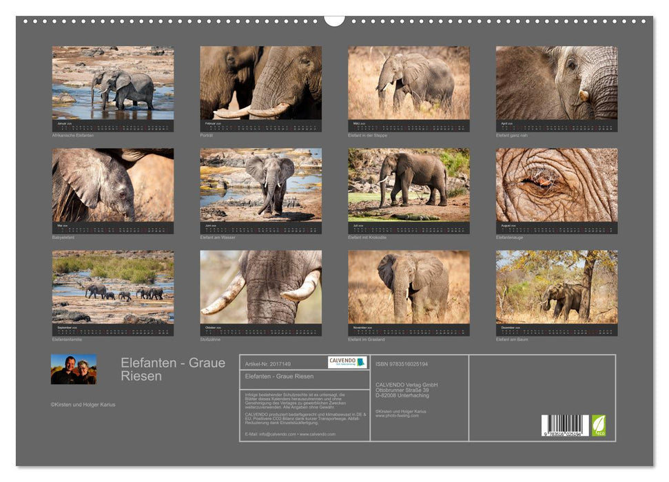 Elefanten - Graue Riesen (CALVENDO Wandkalender 2026)