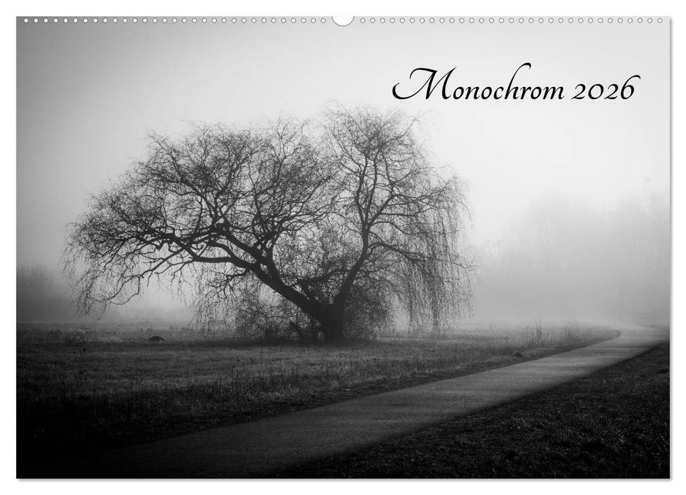 Monochrom 2026 (CALVENDO Wandkalender 2026)