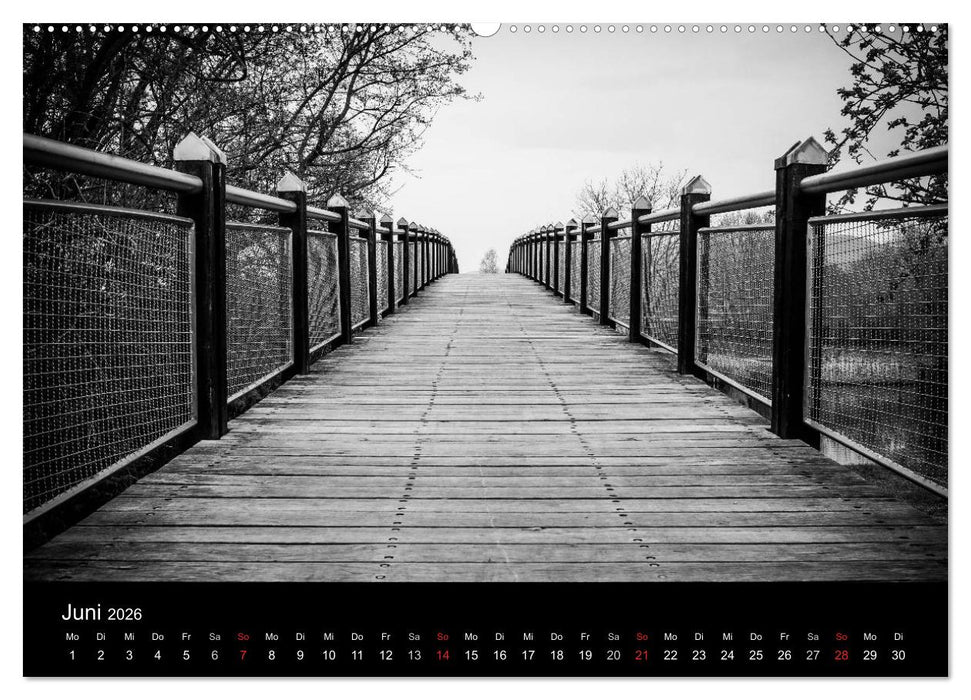 Monochrom 2026 (CALVENDO Wandkalender 2026)