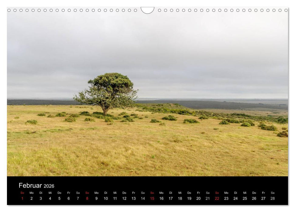 Unterwegs in Südafrika 2026 (CALVENDO Wandkalender 2026)