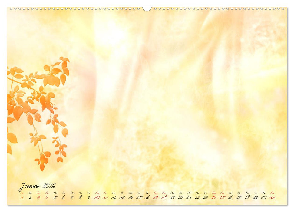 Es gibt Momente die man festhalten möchte (CALVENDO Premium Wandkalender 2026)