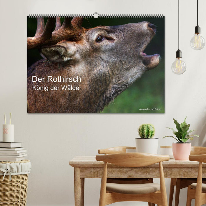 Der Rothirsch, König der Wälder (CALVENDO Wandkalender 2026)