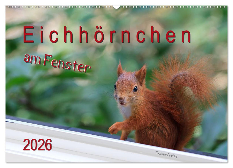 Eichhörnchen am Fenster (CALVENDO Wandkalender 2026)