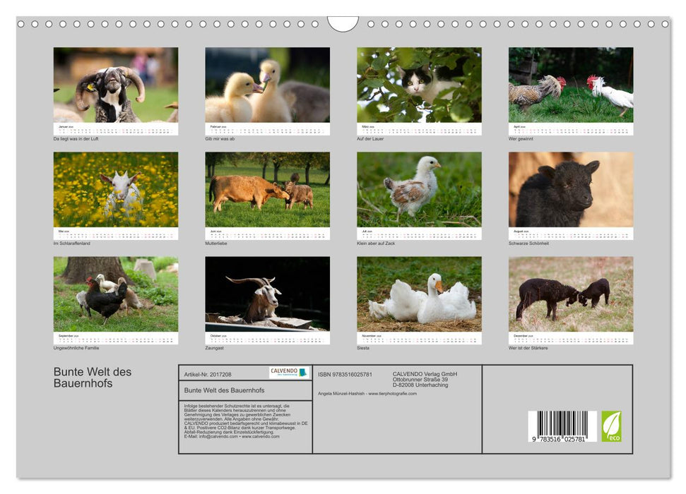 Bunte Welt des Bauernhofs (CALVENDO Wandkalender 2026)