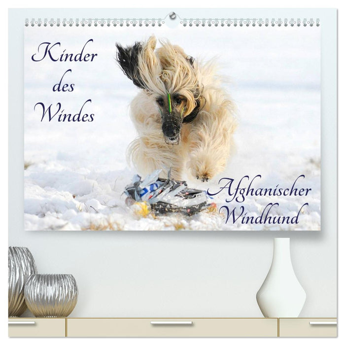 Kinder des Windes - Afghanischer Windhund (CALVENDO Premium Wandkalender 2026)