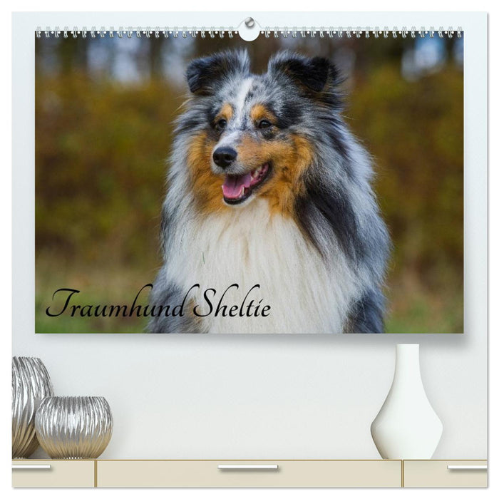 Traumhund Sheltie (CALVENDO Premium Wandkalender 2026)