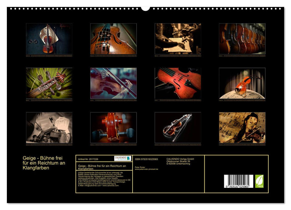 Geige - Bühne frei für ein Reichtum an Klangfarben (CALVENDO Premium Wandkalender 2026)