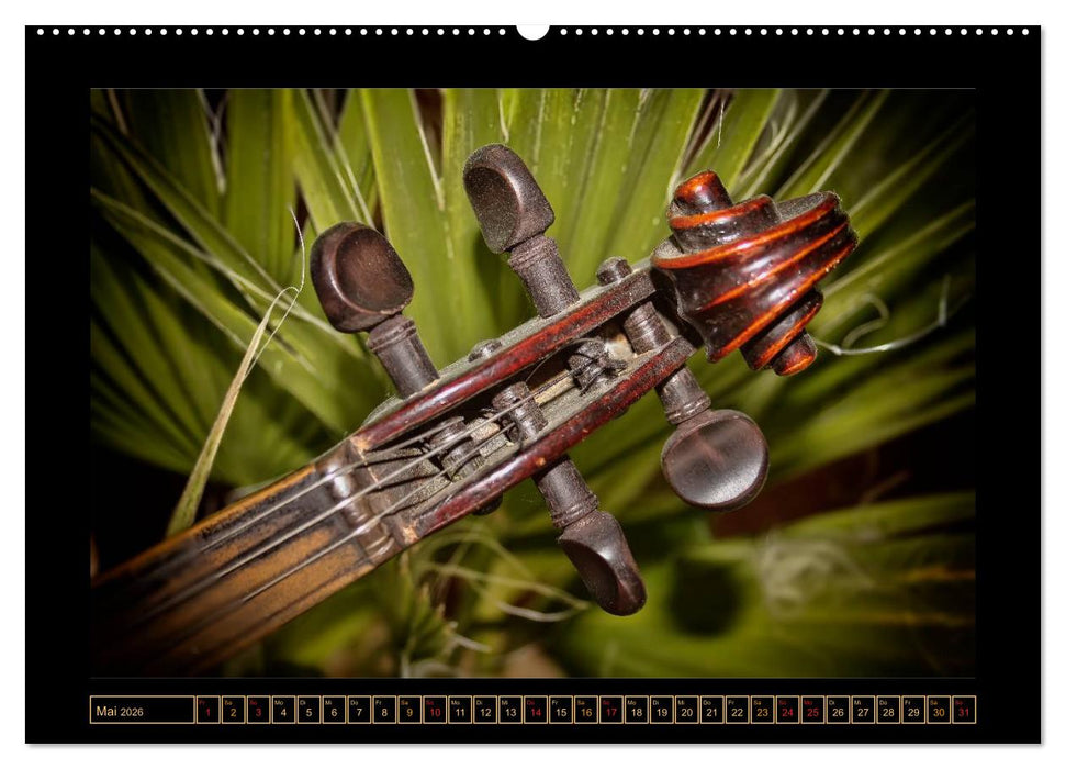 Geige - Bühne frei für ein Reichtum an Klangfarben (CALVENDO Premium Wandkalender 2026)