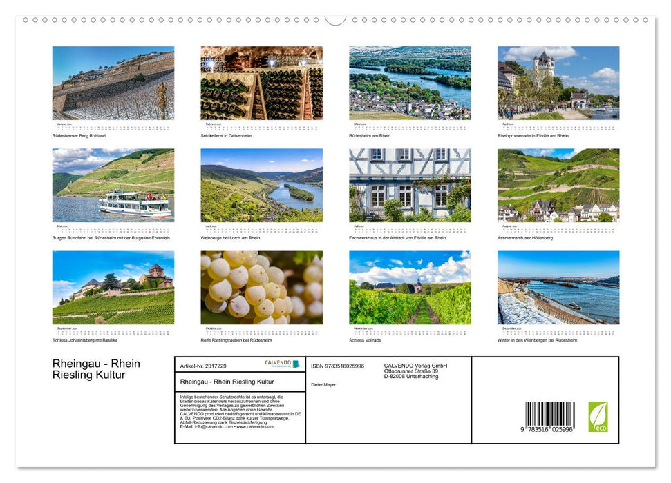 Rheingau - Rhein Riesling Kultur (CALVENDO Premium Wandkalender 2026)