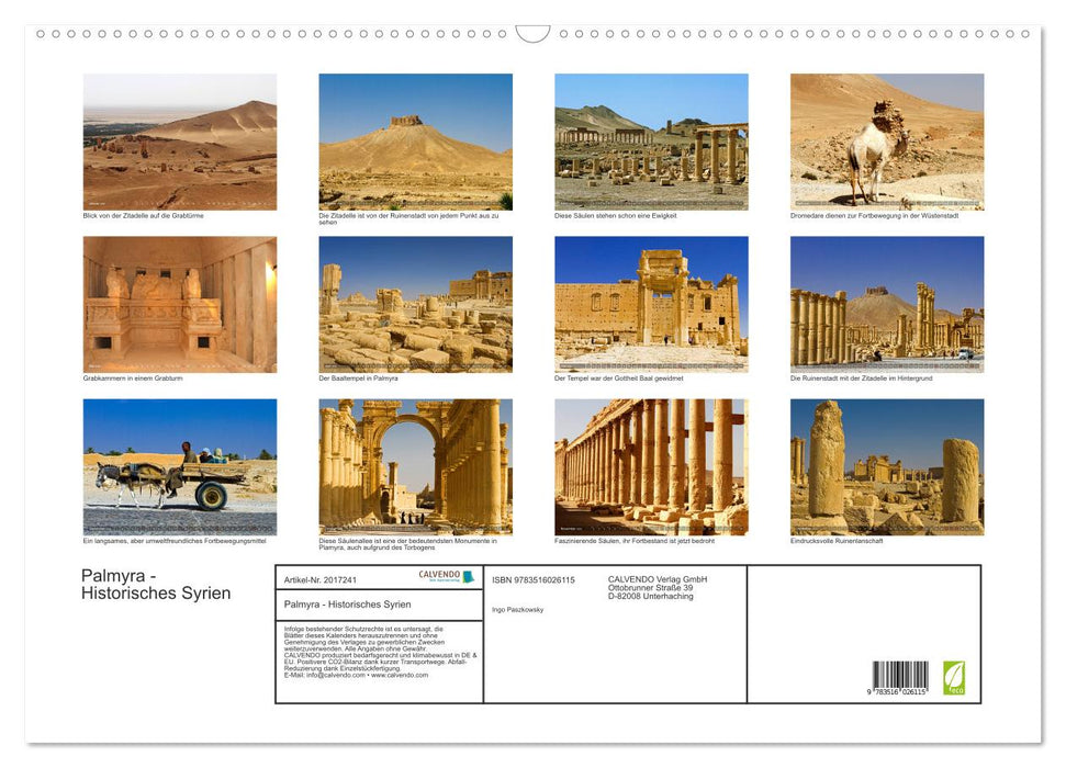Palmyra - Historisches Syrien (CALVENDO Wandkalender 2026)