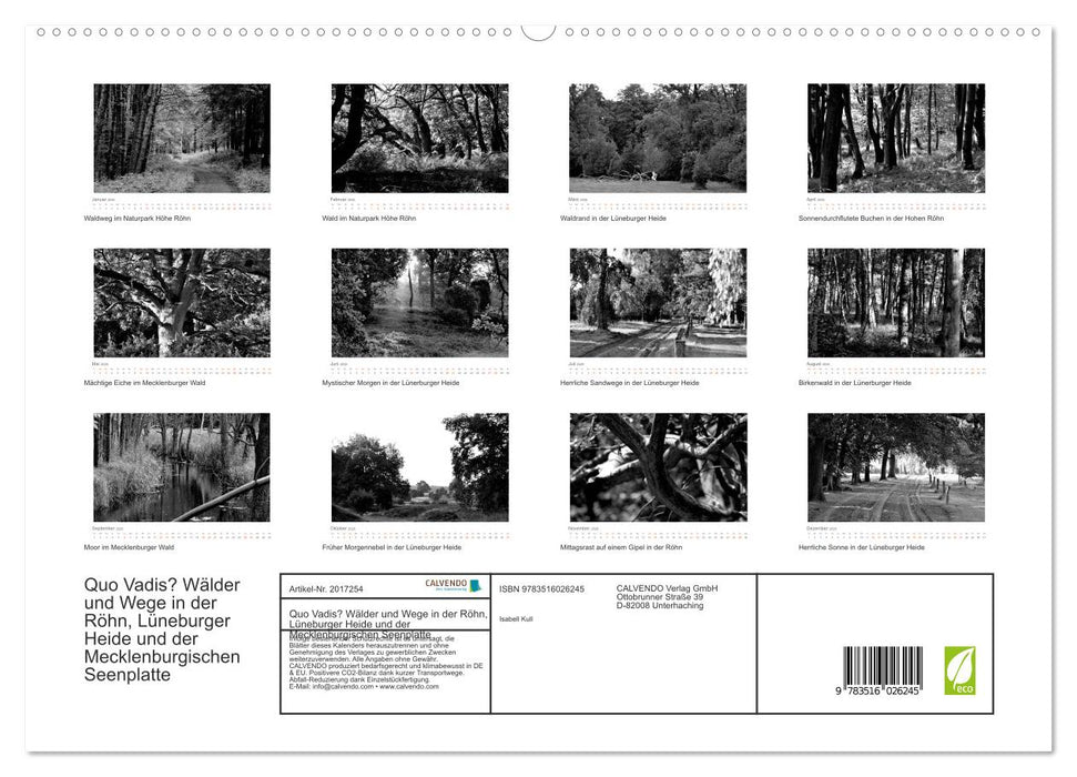 Quo Vadis? Wälder und Wege in der Röhn, Lüneburger Heide und der Mecklenburgischen Seenplatte (CALVENDO Premium Wandkalender 2026)
