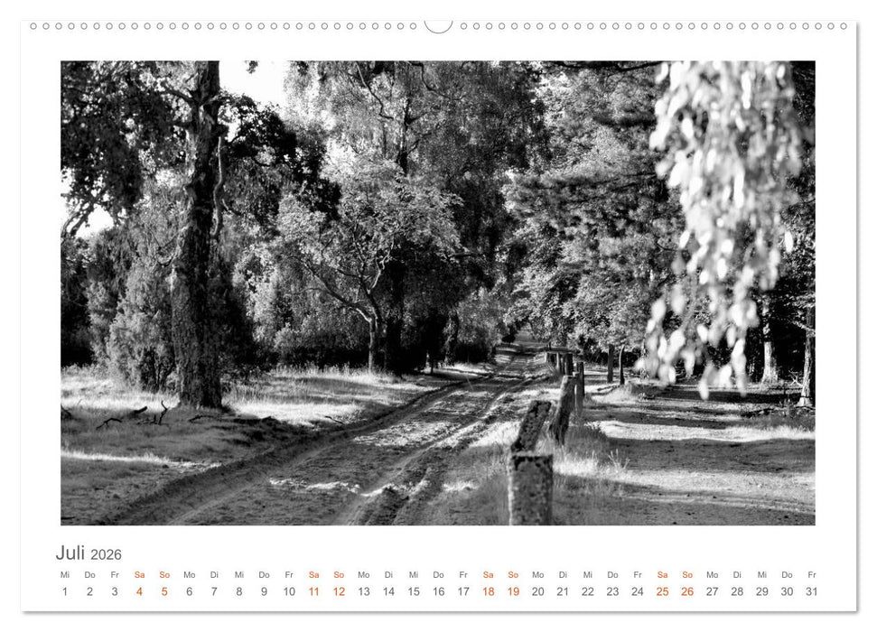 Quo Vadis? Wälder und Wege in der Röhn, Lüneburger Heide und der Mecklenburgischen Seenplatte (CALVENDO Premium Wandkalender 2026)