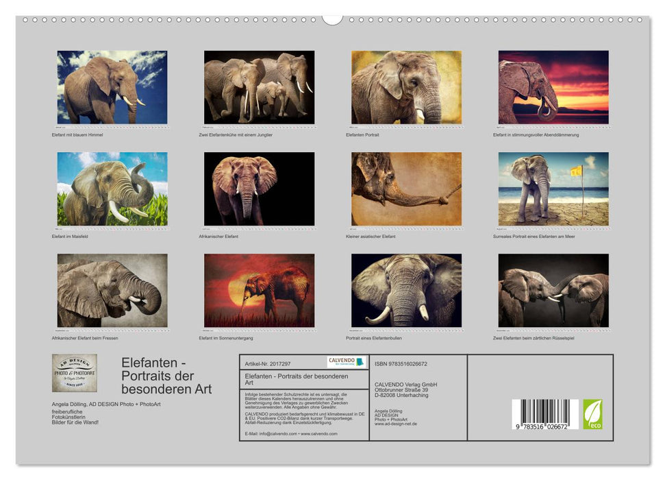 Elefanten - Portraits der besonderen Art (CALVENDO Premium Wandkalender 2026)