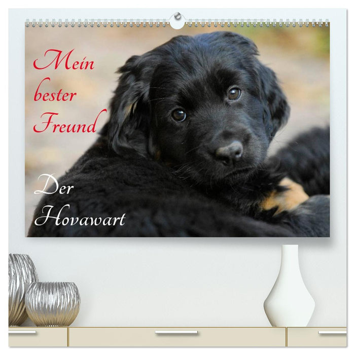 Mein bester Freund - Der Hovawart (CALVENDO Premium Wandkalender 2026)