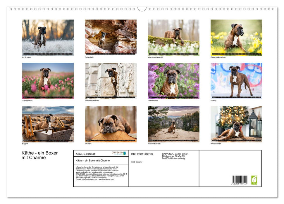 Käthe - ein Boxer mit Charme (CALVENDO Wandkalender 2026)