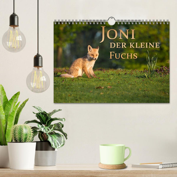Joni, der kleine Fuchs (CALVENDO Wandkalender 2026)