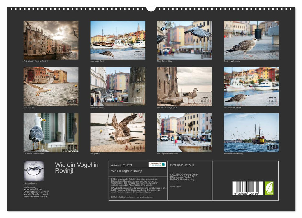 Wie ein Vogel in Rovinj! (CALVENDO Premium Wandkalender 2026)