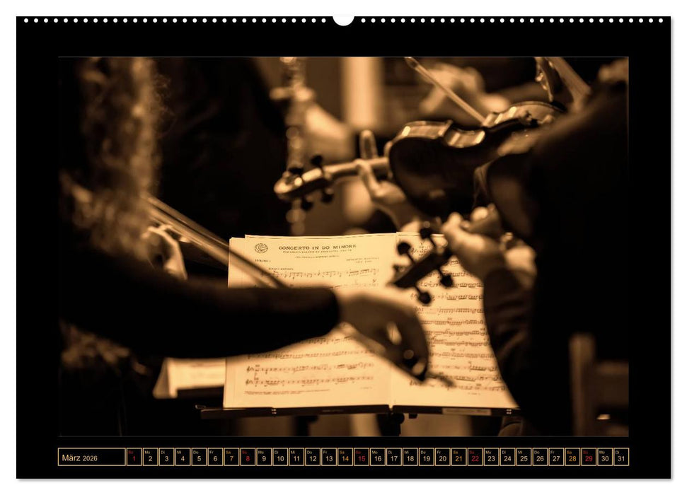 Geige - Bühne frei für ein Reichtum an Klangfarben (CALVENDO Wandkalender 2026)