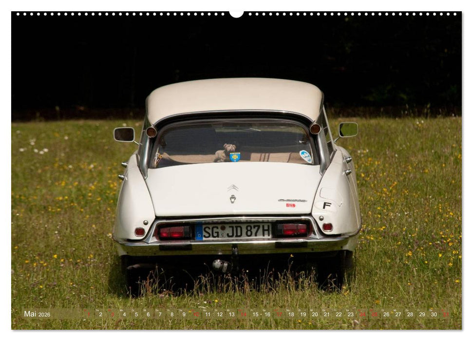 Citroën DS - Göttin in weiß (CALVENDO Wandkalender 2026)
