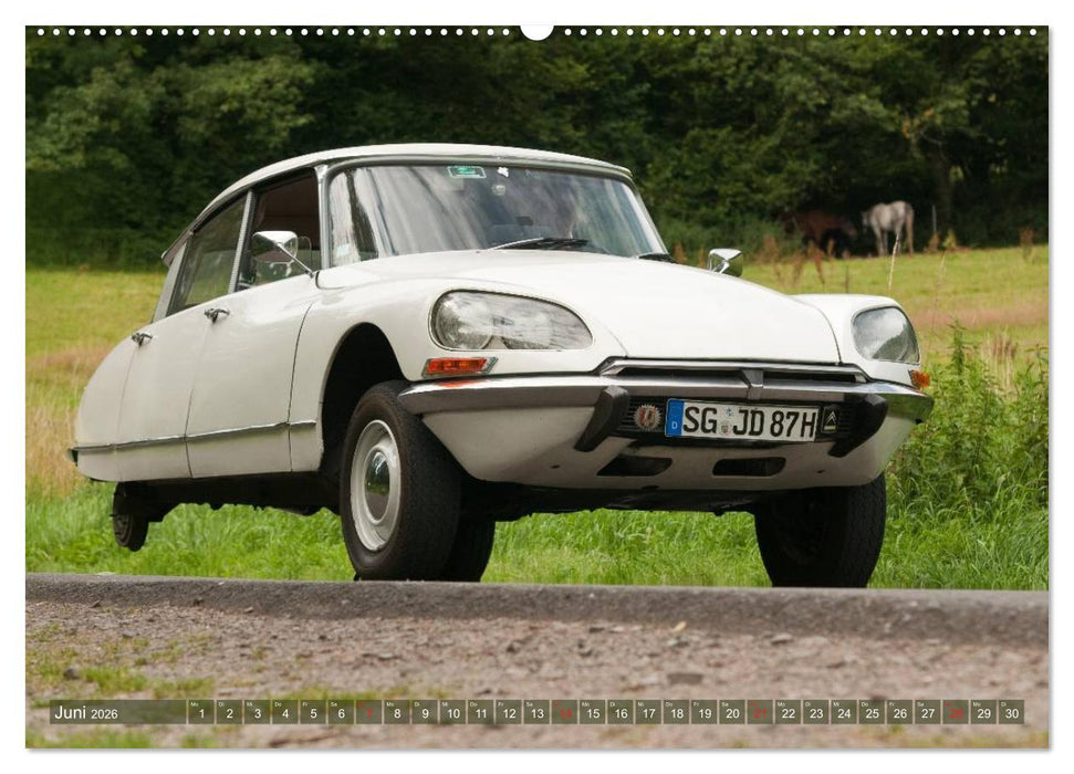 Citroën DS - Göttin in weiß (CALVENDO Wandkalender 2026)