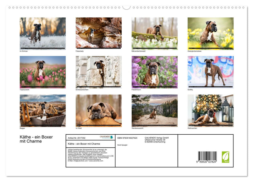 Käthe - ein Boxer mit Charme (CALVENDO Premium Wandkalender 2026)
