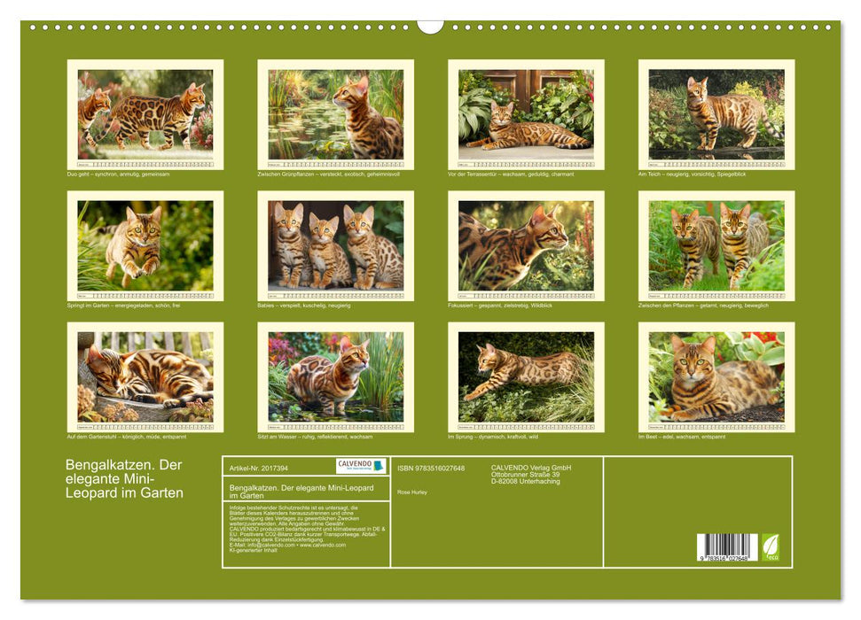 Bengalkatzen. Der elegante Mini-Leopard im Garten (CALVENDO Wandkalender 2026)