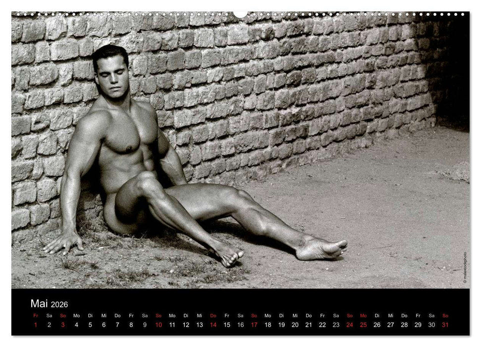 Traummänner Männerträume (CALVENDO Premium Wandkalender 2026)