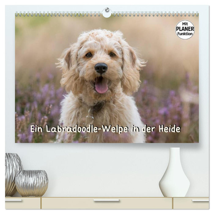 Ein Labradoodle-Welpe in der Heide (CALVENDO Premium Wandkalender 2026)