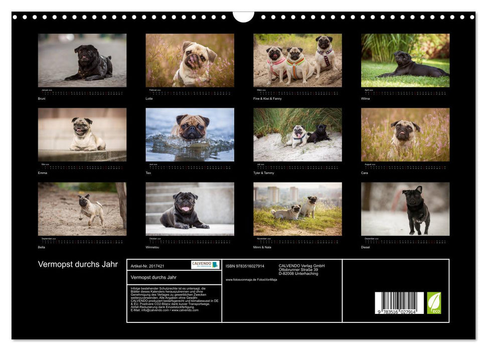 Vermopst durchs Jahr (CALVENDO Wandkalender 2026)