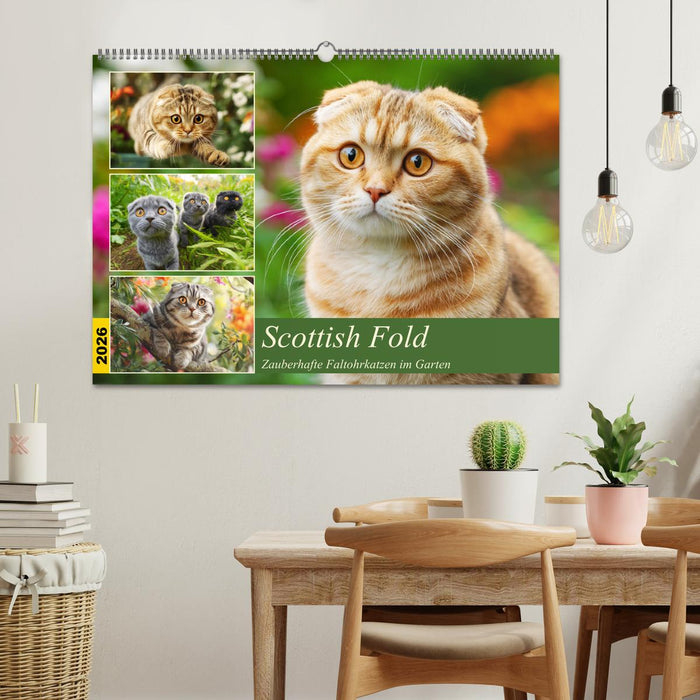 Scottish Fold. Zauberhafte Faltohrkatzen im Garten (CALVENDO Wandkalender 2026)