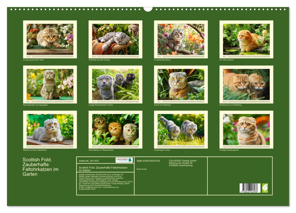 Scottish Fold. Zauberhafte Faltohrkatzen im Garten (CALVENDO Wandkalender 2026)