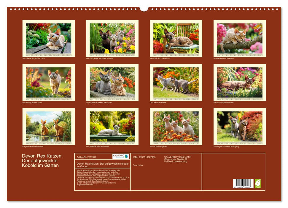 Devon Rex Katzen. Der aufgeweckte Kobold im Garten (CALVENDO Wandkalender 2026)