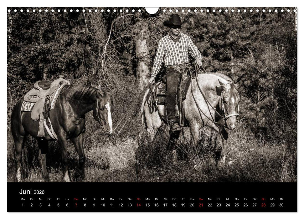 Westernreiten (CALVENDO Wandkalender 2026)