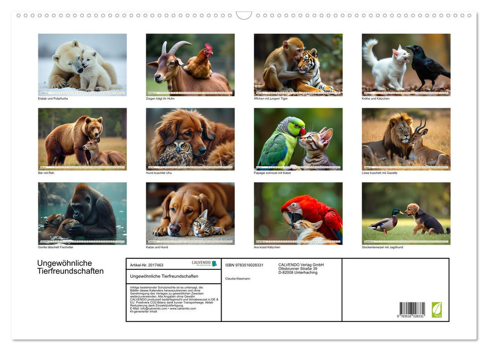 Ungewöhnliche Tierfreundschaften (CALVENDO Wandkalender 2026)