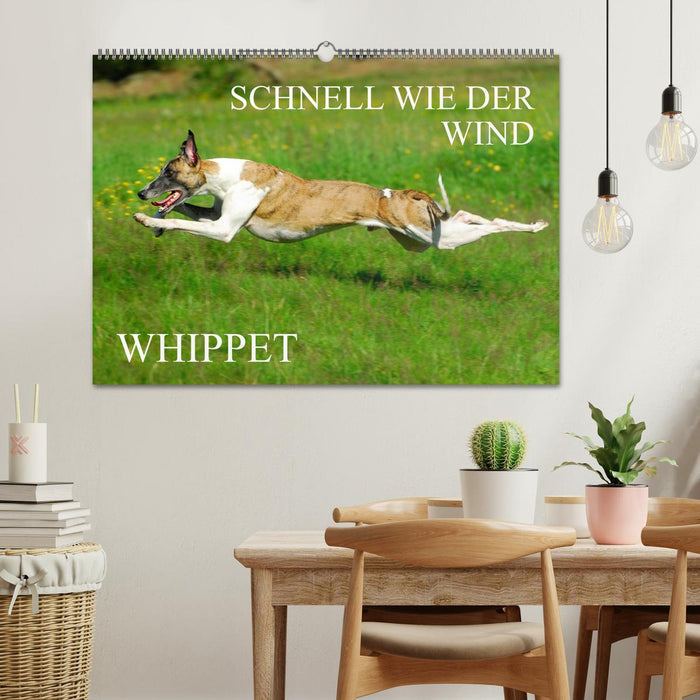Schnell wie der Wind - Whippet (CALVENDO Wandkalender 2026)