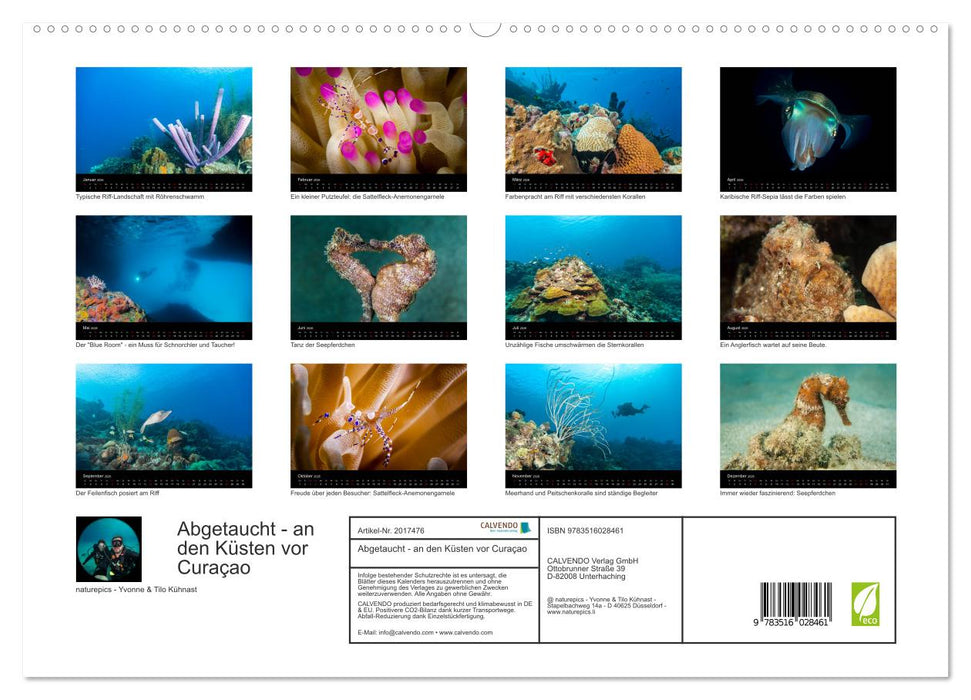 Abgetaucht - an den Küsten vor Curaçao (CALVENDO Premium Wandkalender 2026)