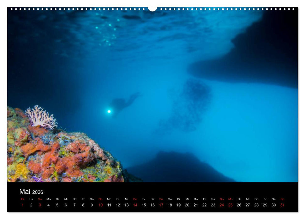 Abgetaucht - an den Küsten vor Curaçao (CALVENDO Premium Wandkalender 2026)