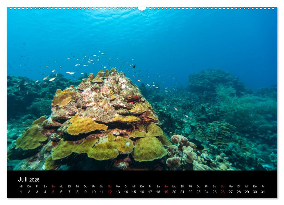 Abgetaucht - an den Küsten vor Curaçao (CALVENDO Premium Wandkalender 2026)