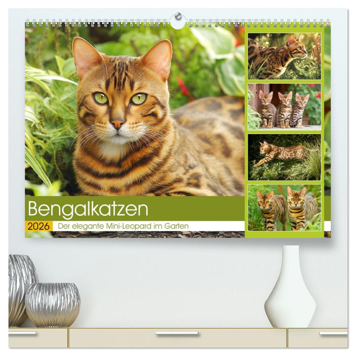Bengalkatzen. Der elegante Mini-Leopard im Garten (CALVENDO Premium Wandkalender 2026)