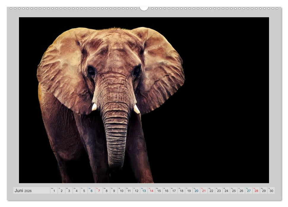 Elefanten - Portraits der besonderen Art (CALVENDO Wandkalender 2026)