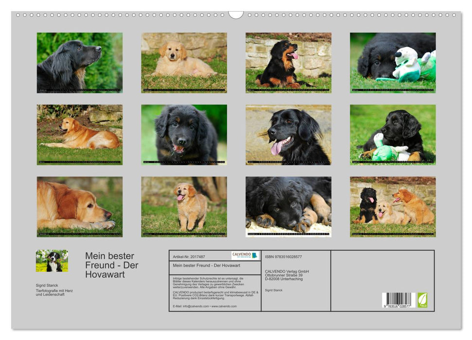 Mein bester Freund - Der Hovawart (CALVENDO Wandkalender 2026)