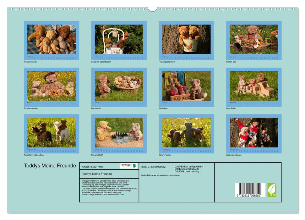 Teddys Meine Freunde (CALVENDO Premium Wandkalender 2026)