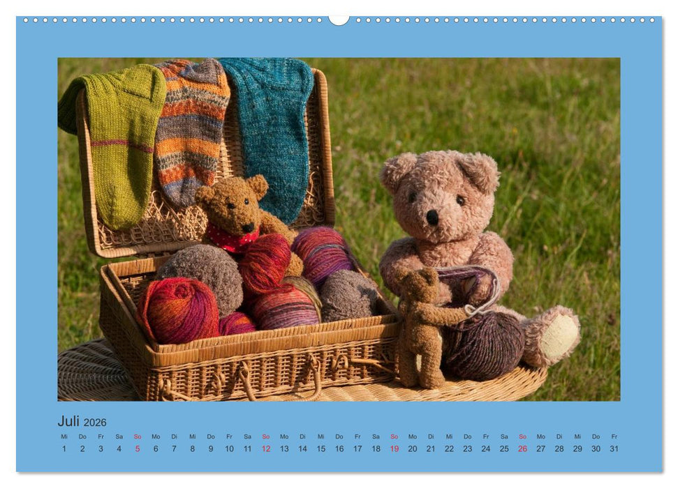 Teddys Meine Freunde (CALVENDO Premium Wandkalender 2026)