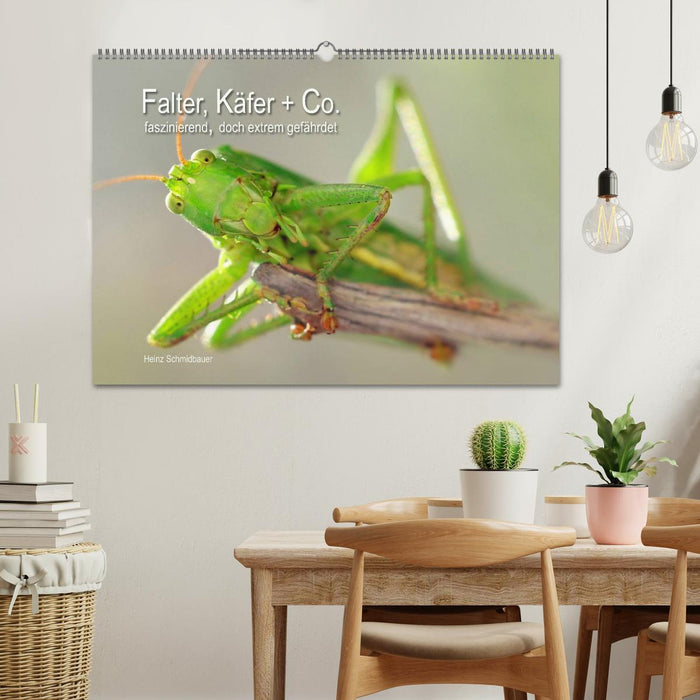 Falter, Käfer und Co.faszinierend, doch extrem gefährdet (CALVENDO Wandkalender 2026)