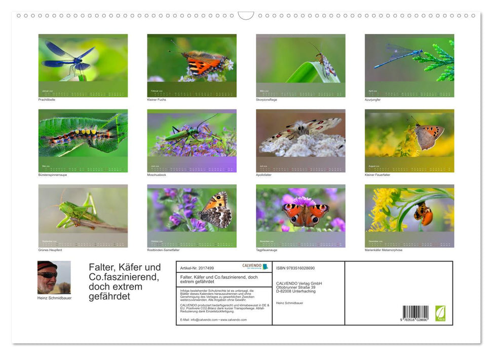 Falter, Käfer und Co.faszinierend, doch extrem gefährdet (CALVENDO Wandkalender 2026)